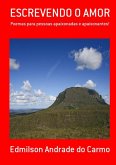 Escrevendo O Amor (eBook, PDF)
