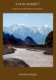 E Se For Verdade ? (eBook, PDF)