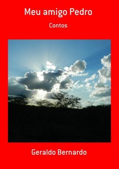Cover Meu Amigo Pedro (eBook, PDF)