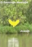 O Flamingo Dourado (eBook, PDF)