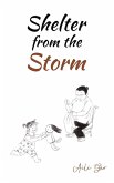 Shelter from the Storm