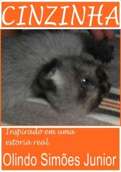 Cover Cinzinha (eBook, PDF)