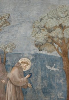 Alegria E Pobreza Nas Representações Sanfranciscanas De Dante E Giotto (eBook, PDF) - Da Silva, Jonas Matheus Sousa