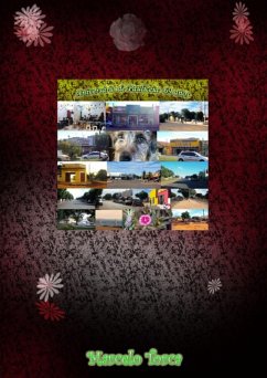 Cover Aniversário De Pauliceia: 69 Anos (eBook, PDF)