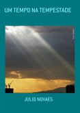 Um Tempo Na Tempestade (eBook, PDF)