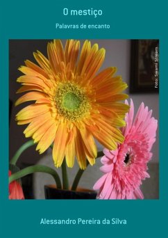 Cover O Mestiço (eBook, PDF)