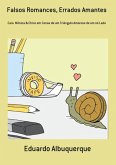 Falsos Romances, Errados Amantes (eBook, PDF)