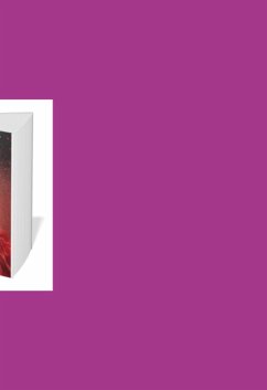 Cover Relações Abusivas (eBook, PDF)