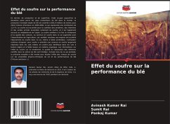 Cover Effet du soufre sur la performance du blé
