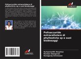 Polisaccaride extracellulare di phyllosticta sp e suoi biodosaggi Polisaccaride extracellulare di phyllosticta sp e suoi biodosaggi