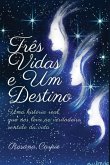 Três Vidas E Um Destino (eBook, PDF)