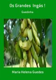 Os Grandes Ingás ! (eBook, PDF)