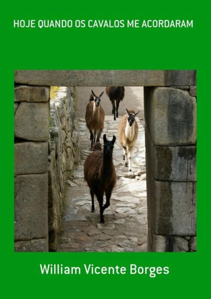 Hoje Quando Os Cavalos Me Acordaram (eBook, PDF)