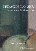 Pedaços Do Ser (eBook, PDF)