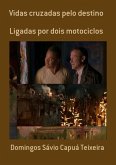 Vidas Cruzadas Pelo Destino (eBook, PDF)