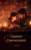Luminous Companionship Luminous Companionship