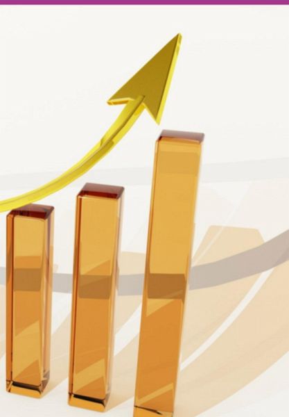 Alcançar A Independência Financeira (eBook, PDF)