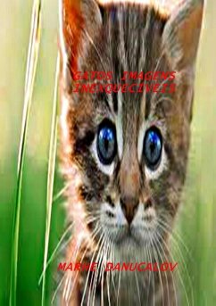 Cover Gatos Imagens Trabalhadas (eBook, PDF)