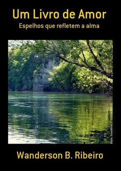 Um Livro De Amor (eBook, PDF) - Ribeiro, Wanderson B.