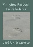 Primeiros Passos: (eBook, PDF)
