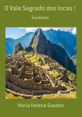 O Vale Sagrado Dos Incas ! (eBook, PDF)