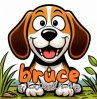 Bruce (eBook, PDF) - Bild 1