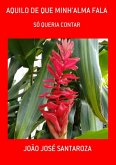 Aquilo De Que Minh'alma Fala (eBook, PDF)