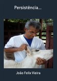 Persistência... (eBook, PDF)