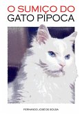 O Sumiço Do Gato Pipoca (eBook, PDF)