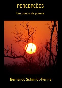 Cover Percepcões (eBook, PDF)
