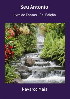 Cover Seu Antônio (eBook, PDF)