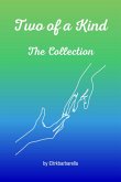 Two Of A Kind (eBook, PDF)