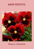 Amor Perfeito (eBook, PDF)