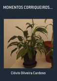 Momentos Corriqueiros... (eBook, PDF)