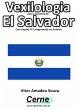 Vexilologia Para A Bandeira De El... - Bild 1