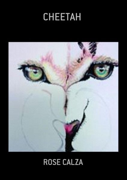 Cheetah (eBook, PDF)