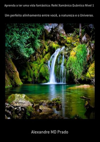 Aprenda A Ter Uma Vida Fantástica: Reiki Xamânico Quântico Nível 1 (eBook, PDF)