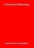 A Tormenta Misteriosa (eBook, PDF)