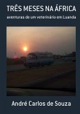 Três Meses Na África (eBook, PDF)