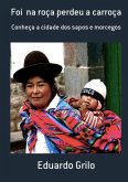 Foi Na Roça Perdeu A Carroça (eBook, PDF)