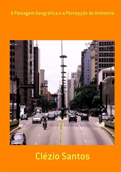 A Paisagem Geográfica E A Percepção Do Ambiente (eBook, PDF)