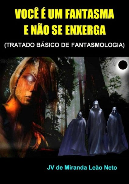 Você É Um Fantasma E Não Se Enxerga (eBook, PDF) Você É Um Fantasma E Não Se Enxerga (eBook, PDF)