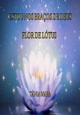 Estou Nos Braços De Deus (eBook, PDF)