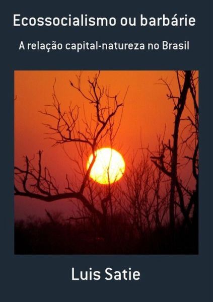 Ecossocialismo Ou Barbárie (eBook, PDF)
