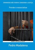 Criminosos Não Temem E Ignogram A Justiça: (eBook, PDF)