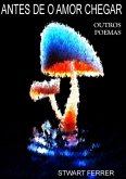 Antes De O Amor Chegar (eBook, PDF) Antes De O Amor Chegar (eBook, PDF)
