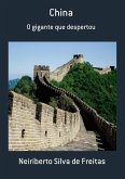 China (eBook, PDF)