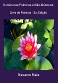 Iluminuras Poéticas E Não Abismais (eBook, PDF)