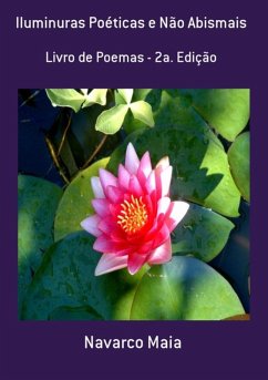Cover Iluminuras Poéticas E Não Abismais (eBook, PDF)