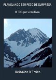 Planejando Ser Pego De Surpresa (eBook, PDF)